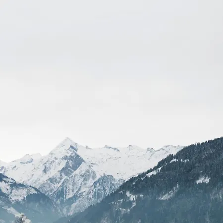 Das Lohningstein Zell am See